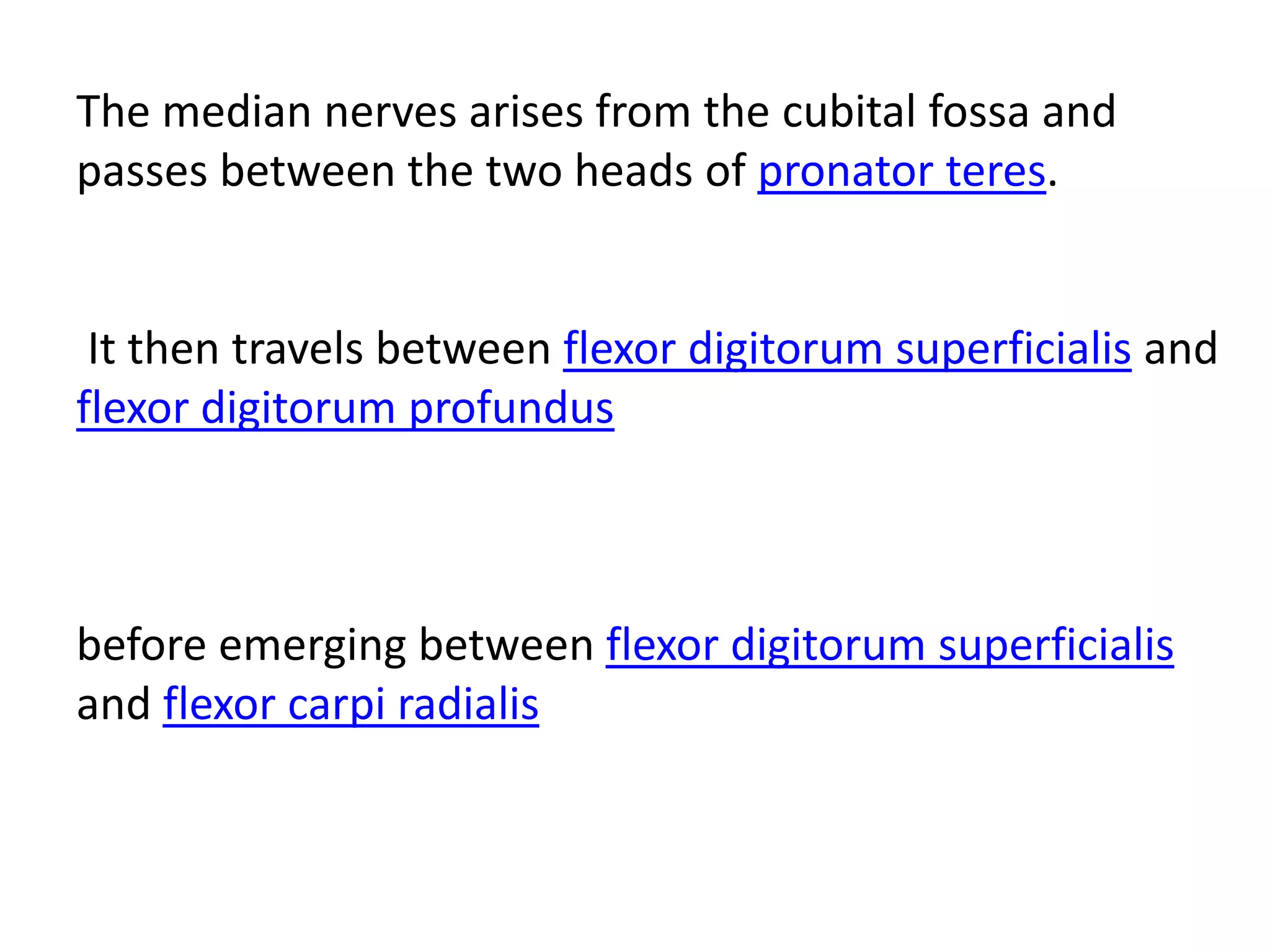 The median nerves arises from the cubital fossa and
passes between the two heads of pronator teres.


 It then travels between flexor digitorum superficialis and
flexor digitorum profundus



before emerging between flexor digitorum superficialis
and flexor carpi radialis
 
