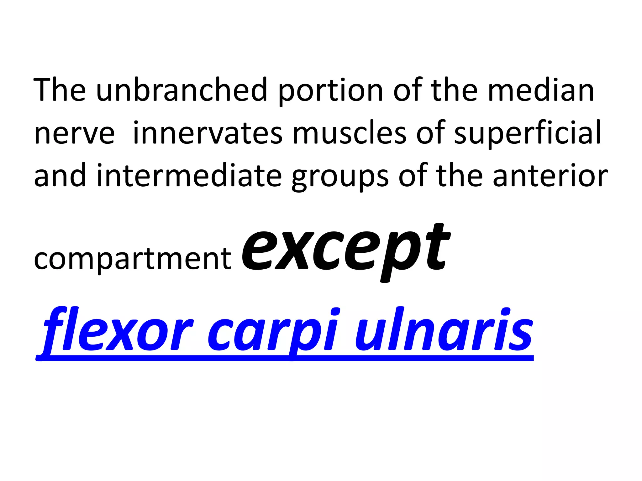 The unbranched portion of the median
nerve innervates muscles of superficial
and intermediate groups of the anterior

compartment   except
flexor carpi ulnaris
 