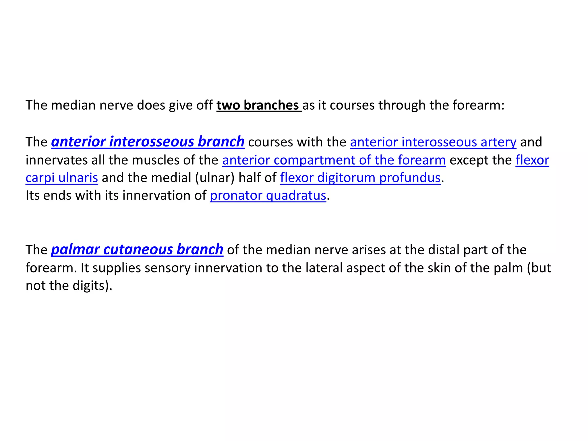 The median nerve does give off two branches as it courses through the forearm:

The anterior interosseous branch courses with the anterior interosseous artery and
innervates all the muscles of the anterior compartment of the forearm except the flexor
carpi ulnaris and the medial (ulnar) half of flexor digitorum profundus.
Its ends with its innervation of pronator quadratus.


The palmar cutaneous branch of the median nerve arises at the distal part of the
forearm. It supplies sensory innervation to the lateral aspect of the skin of the palm (but
not the digits).
 