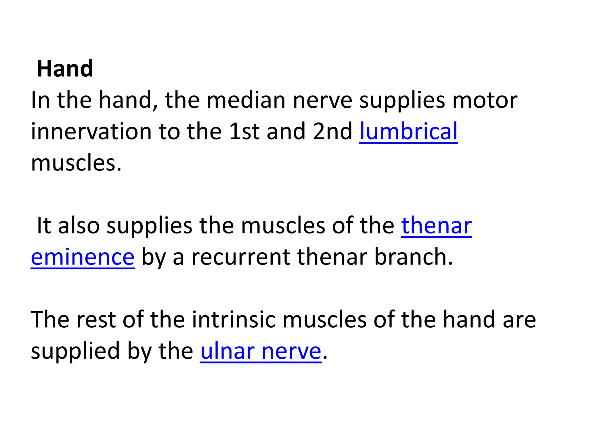 Hand
In the hand, the median nerve supplies motor
innervation to the 1st and 2nd lumbrical
muscles.

It also supplies the muscles of the thenar
eminence by a recurrent thenar branch.

The rest of the intrinsic muscles of the hand are
supplied by the ulnar nerve.
 