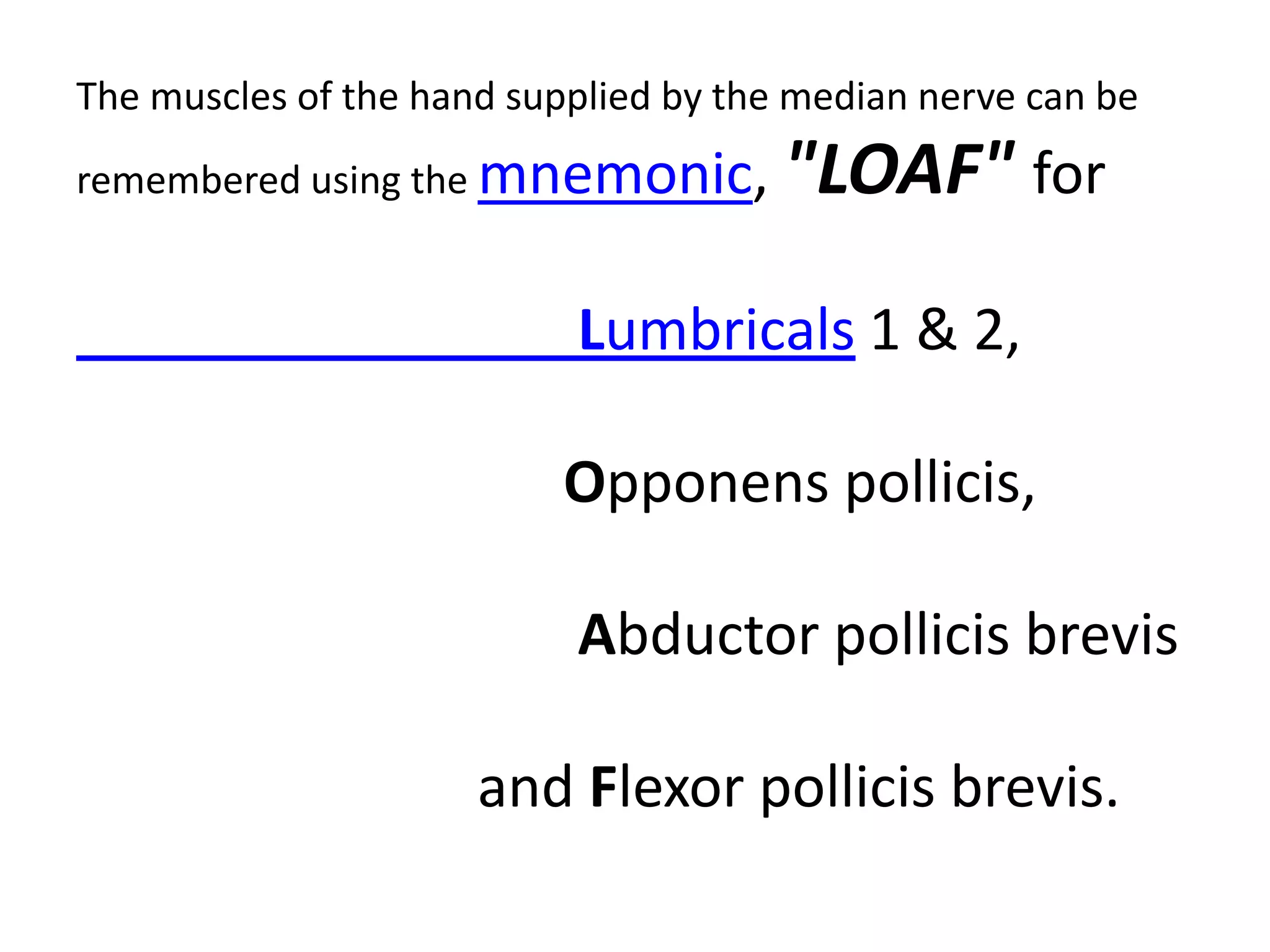 The muscles of the hand supplied by the median nerve can be
remembered using the mnemonic,         "LOAF" for

                           Lumbricals 1 & 2,

                           Opponens pollicis,

                           Abductor pollicis brevis

                      and Flexor pollicis brevis.
 