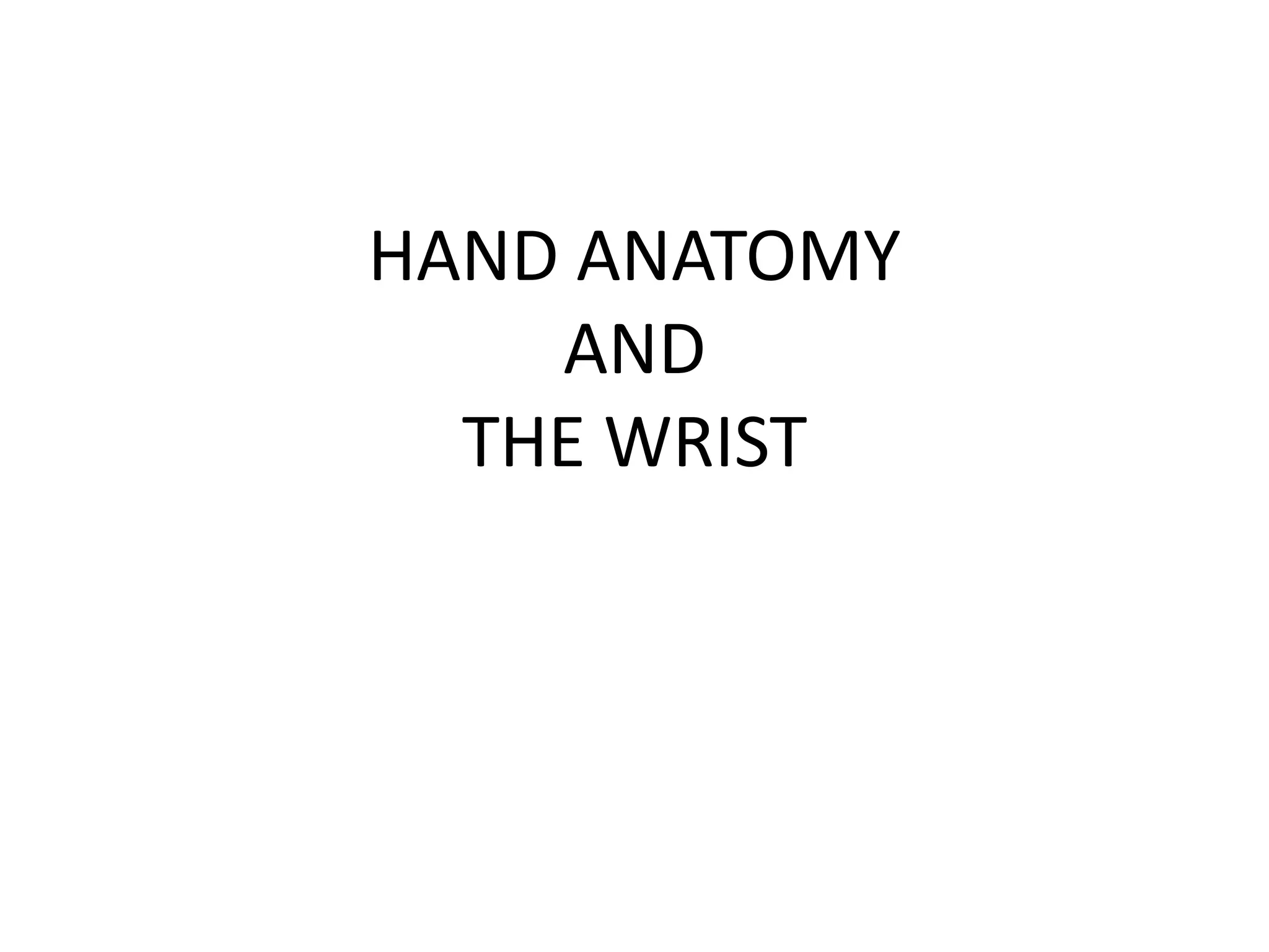 HAND ANATOMY
    AND
  THE WRIST
 