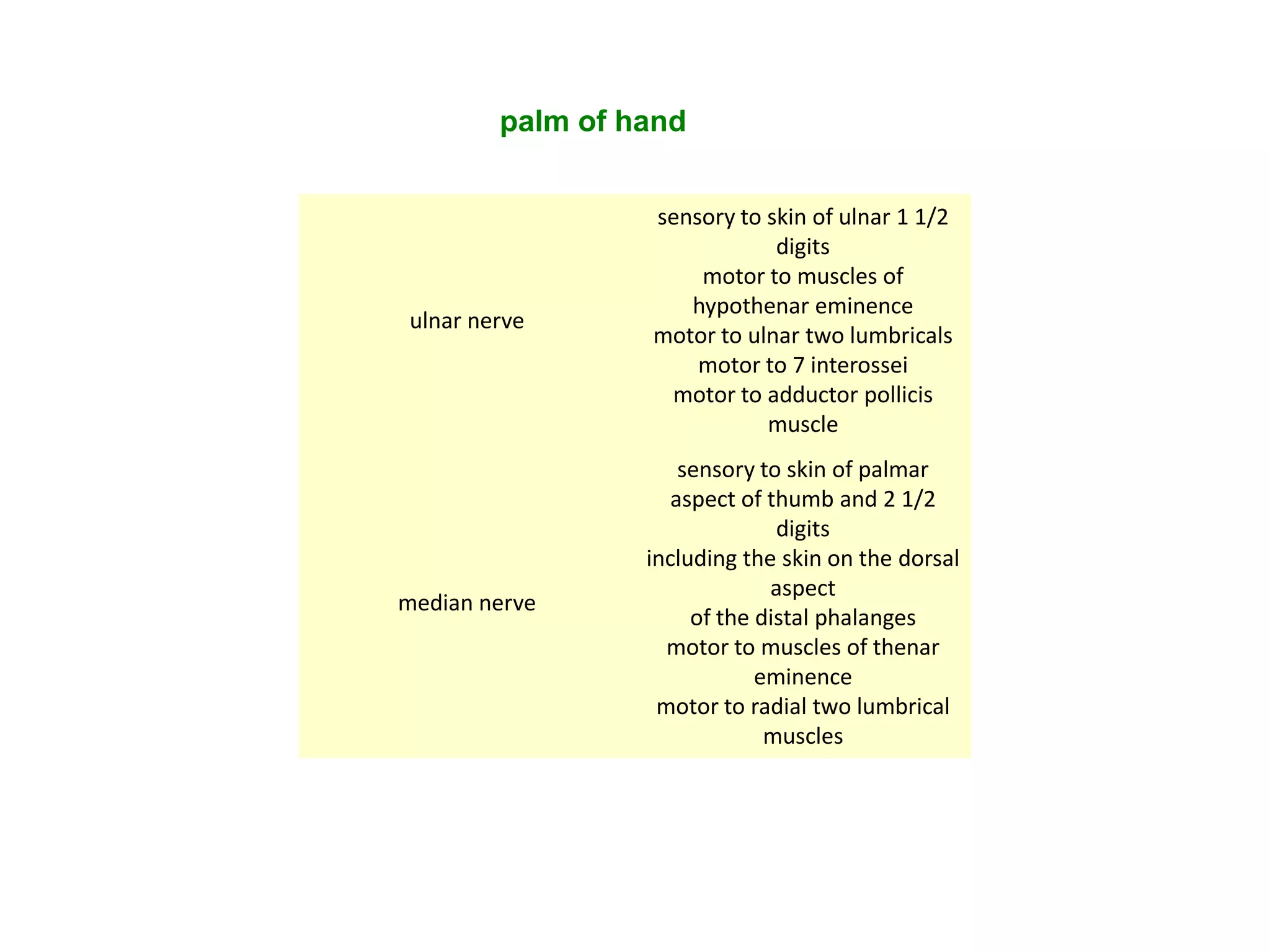 palm of hand


                  sensory to skin of ulnar 1 1/2
                              digits
                      motor to muscles of
                     hypothenar eminence
 ulnar nerve
                  motor to ulnar two lumbricals
                      motor to 7 interossei
                   motor to adductor pollicis
                             muscle
                      sensory to skin of palmar
                     aspect of thumb and 2 1/2
                                digits
                  including the skin on the dorsal
                               aspect
median nerve
                       of the distal phalanges
                    motor to muscles of thenar
                              eminence
                   motor to radial two lumbrical
                               muscles
 