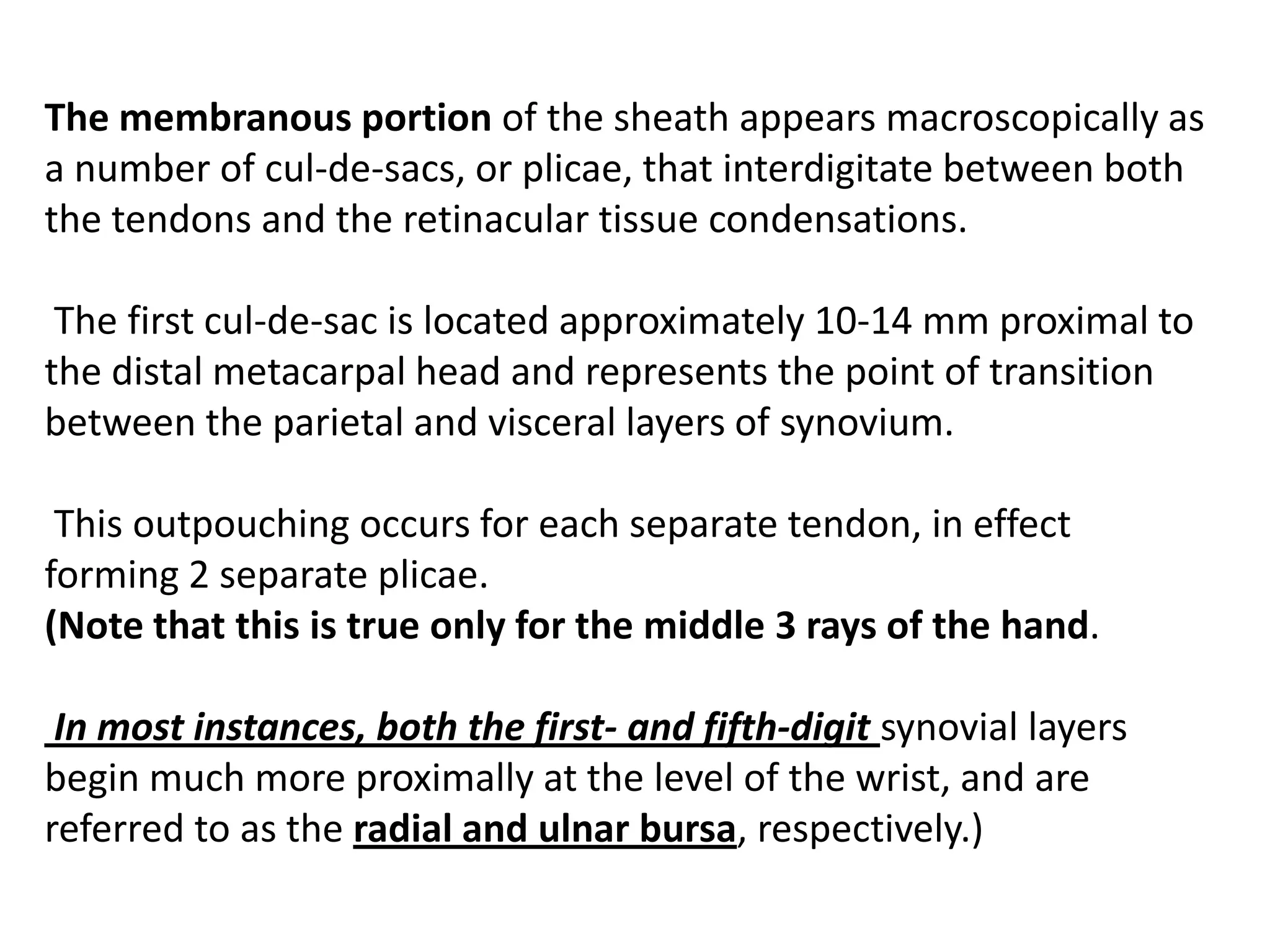 The membranous portion of the sheath appears macroscopically as
a number of cul-de-sacs, or plicae, that interdigitate between both
the tendons and the retinacular tissue condensations.

 The first cul-de-sac is located approximately 10-14 mm proximal to
the distal metacarpal head and represents the point of transition
between the parietal and visceral layers of synovium.

 This outpouching occurs for each separate tendon, in effect
forming 2 separate plicae.
(Note that this is true only for the middle 3 rays of the hand.

 In most instances, both the first- and fifth-digit synovial layers
begin much more proximally at the level of the wrist, and are
referred to as the radial and ulnar bursa, respectively.)
 