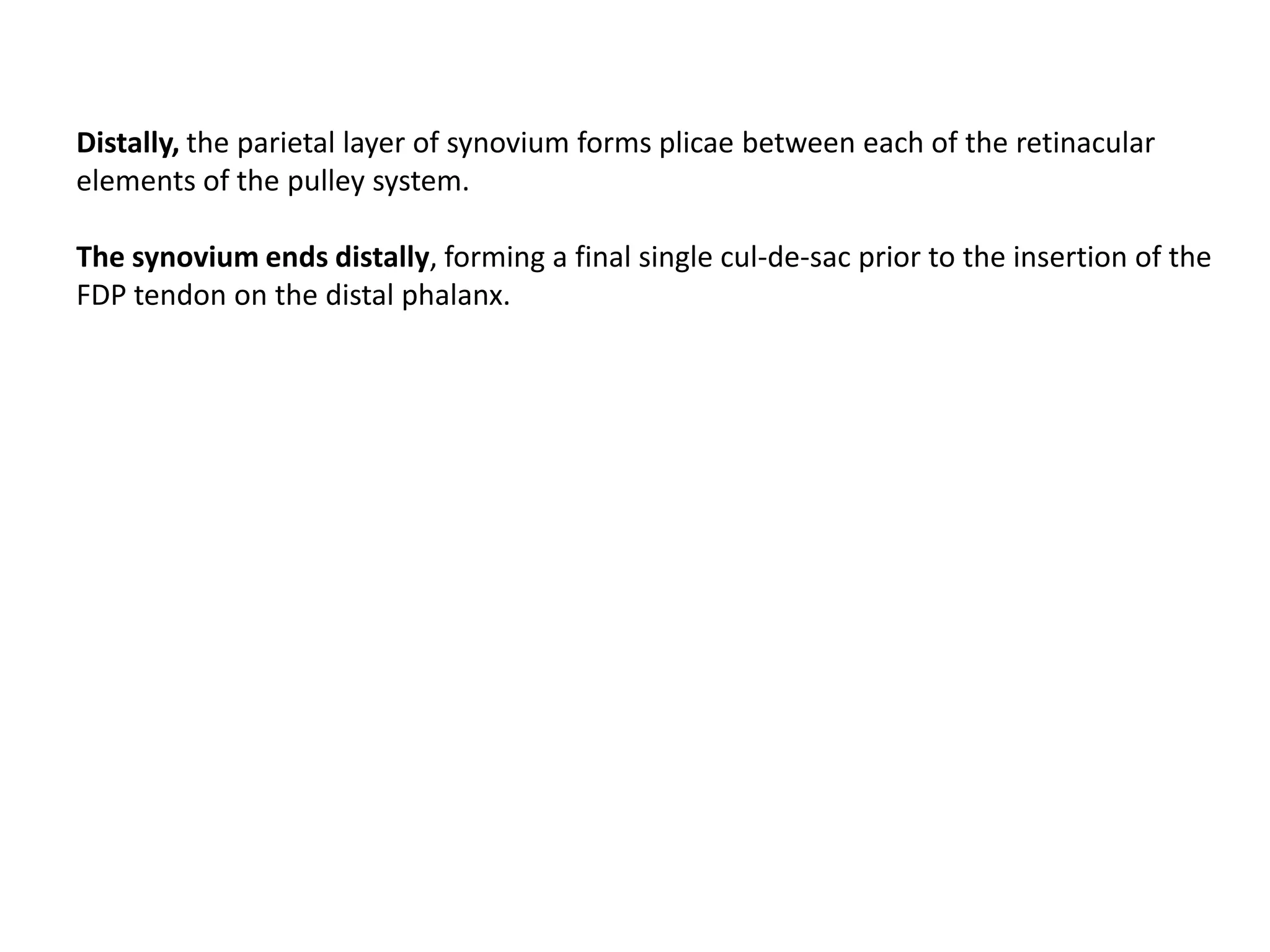 Distally, the parietal layer of synovium forms plicae between each of the retinacular
elements of the pulley system.

The synovium ends distally, forming a final single cul-de-sac prior to the insertion of the
FDP tendon on the distal phalanx.
 