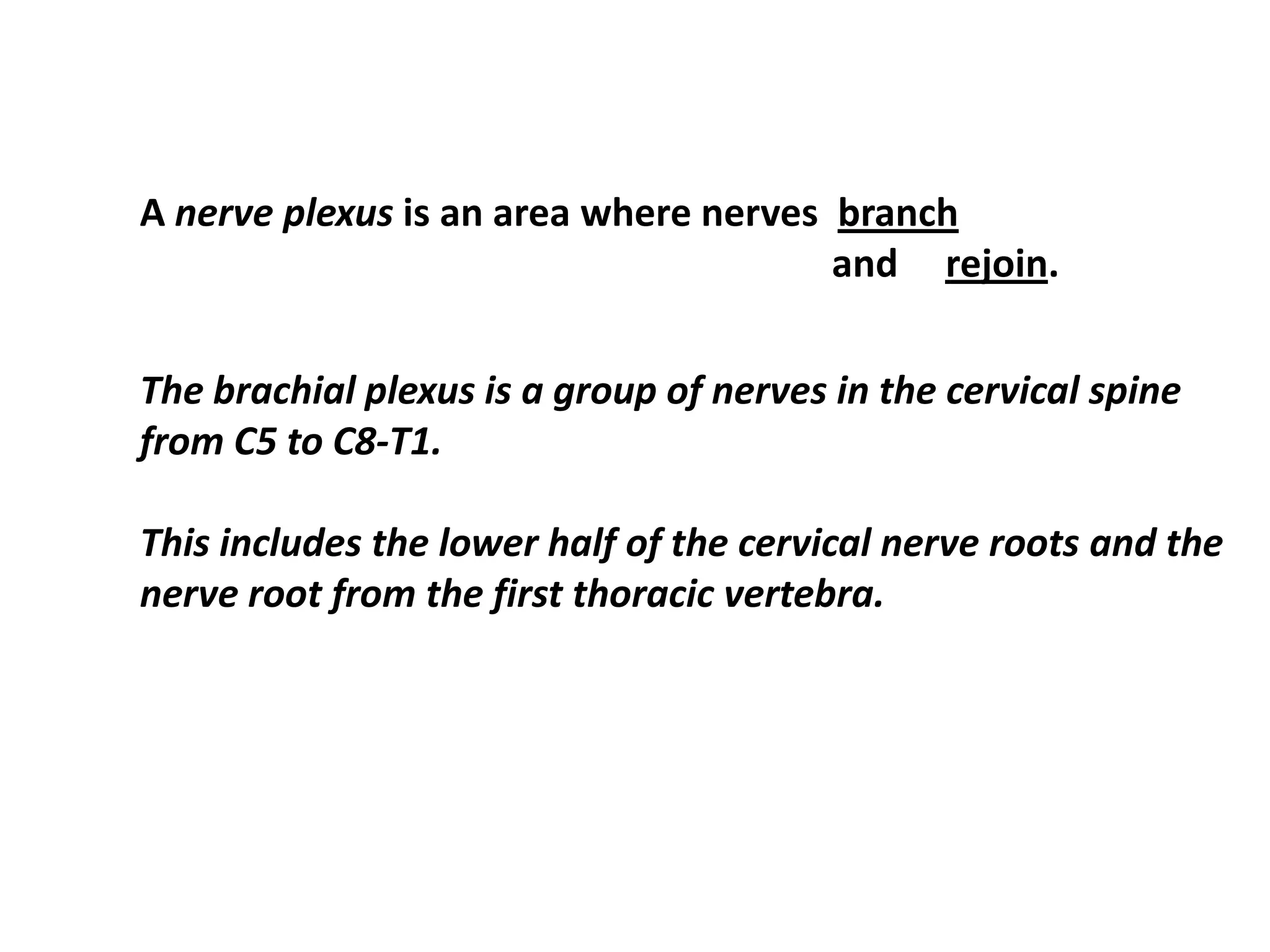 A nerve plexus is an area where nerves branch
                                       and rejoin.

The brachial plexus is a group of nerves in the cervical spine
from C5 to C8-T1.

This includes the lower half of the cervical nerve roots and the
nerve root from the first thoracic vertebra.
 