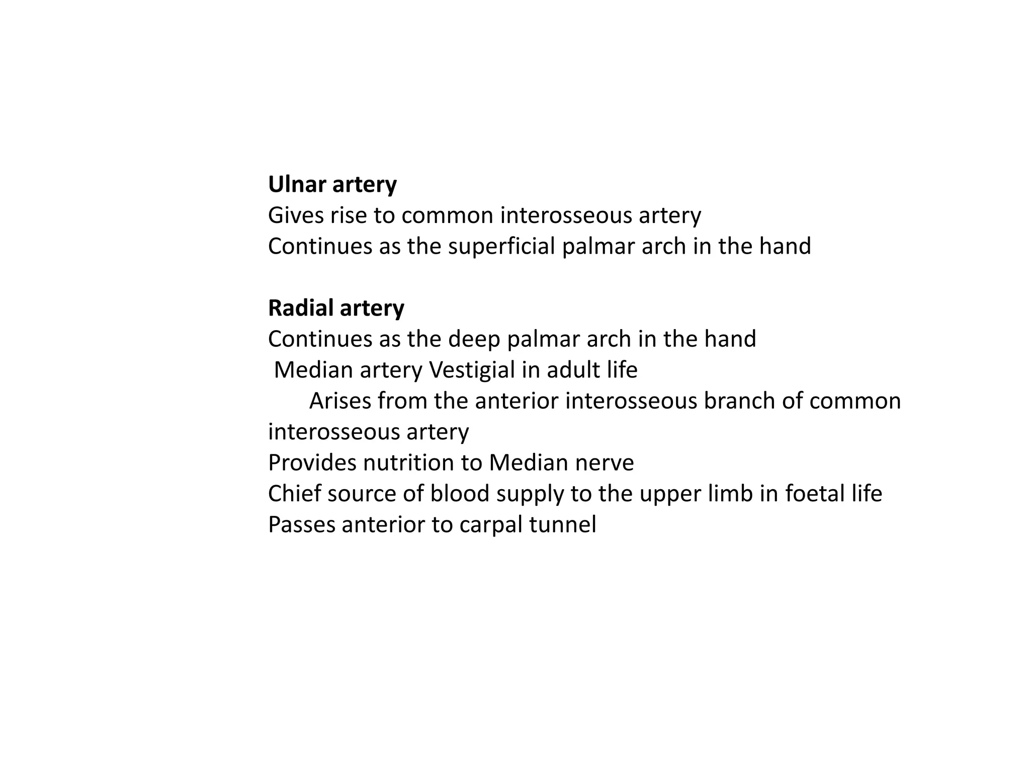 Ulnar artery
Gives rise to common interosseous artery
Continues as the superficial palmar arch in the hand

Radial artery
Continues as the deep palmar arch in the hand
 Median artery Vestigial in adult life
    Arises from the anterior interosseous branch of common
interosseous artery
Provides nutrition to Median nerve
Chief source of blood supply to the upper limb in foetal life
Passes anterior to carpal tunnel
 