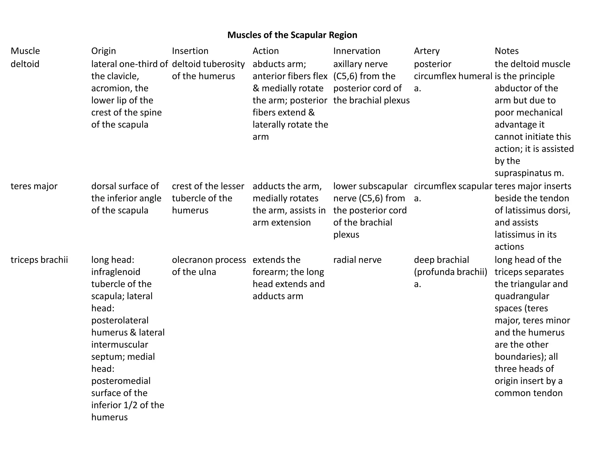 Muscles of the Scapular Region
Muscle            Origin               Insertion            Action                 Innervation Artery             Notes
deltoid           lateral one-third of deltoid tuberosity   abducts arm;           axillary nerve
                                                                                               posterior          the deltoid muscle
                  the clavicle,        of the humerus       anterior fibers flex   (C5,6) from the
                                                                                               circumflex humeral is the principle
                  acromion, the                             & medially rotate      posterior cord of
                                                                                               a.                 abductor of the
                  lower lip of the                          the arm; posterior     the brachial plexus            arm but due to
                  crest of the spine                        fibers extend &                                       poor mechanical
                  of the scapula                            laterally rotate the                                  advantage it
                                                            arm                                                   cannot initiate this
                                                                                                                  action; it is assisted
                                                                                                                  by the
                                                                                                                  supraspinatus m.
teres major       dorsal surface of crest of the lesser adducts the arm, lower subscapular circumflex scapular teres major inserts
                  the inferior angle tubercle of the    medially rotates nerve (C5,6) from a.                     beside the tendon
                  of the scapula      humerus           the arm, assists in the posterior cord                    of latissimus dorsi,
                                                        arm extension       of the brachial                       and assists
                                                                            plexus                                latissimus in its
                                                                                                                  actions
triceps brachii   long head:          olecranon process extends the         radial nerve       deep brachial      long head of the
                  infraglenoid        of the ulna       forearm; the long                      (profunda brachii) triceps separates
                  tubercle of the                       head extends and                       a.                 the triangular and
                  scapula; lateral                      adducts arm                                               quadrangular
                  head:                                                                                           spaces (teres
                  posterolateral                                                                                  major, teres minor
                  humerus & lateral                                                                               and the humerus
                  intermuscular                                                                                   are the other
                  septum; medial                                                                                  boundaries); all
                  head:                                                                                           three heads of
                  posteromedial                                                                                   origin insert by a
                  surface of the                                                                                  common tendon
                  inferior 1/2 of the
                  humerus
 