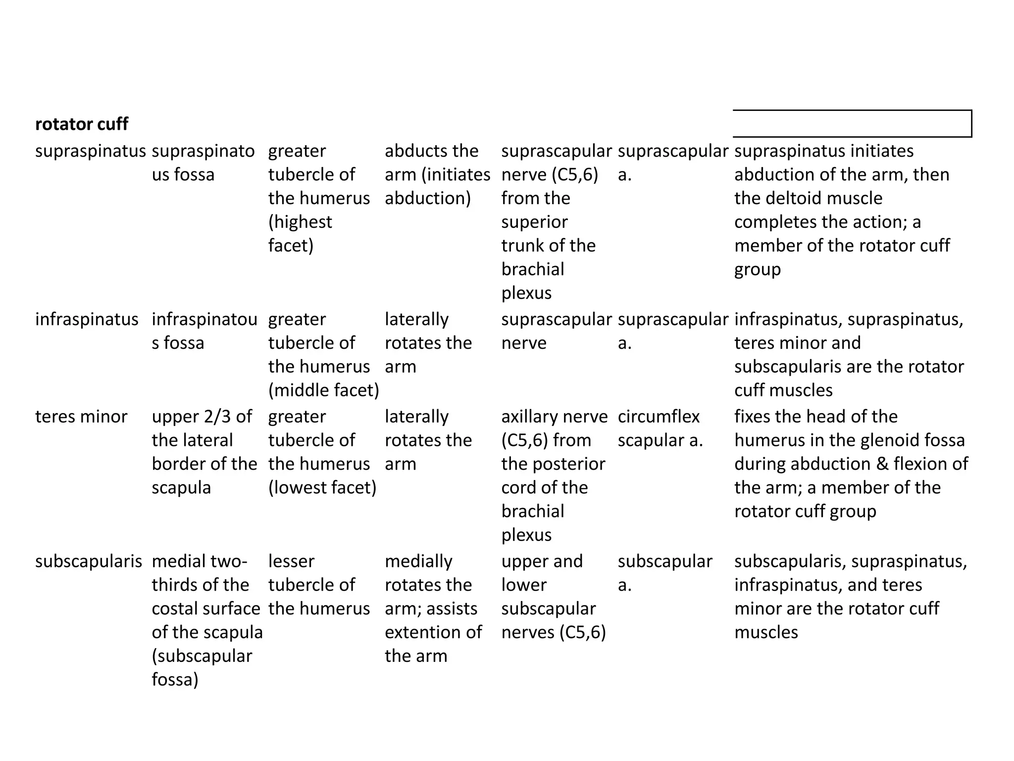 rotator cuff
supraspinatus supraspinato greater     abducts the       suprascapular suprascapular supraspinatus initiates
              us fossa     tubercle of arm (initiates    nerve (C5,6) a.             abduction of the arm, then
                           the humerus abduction)        from the                    the deltoid muscle
                           (highest                      superior                    completes the action; a
                           facet)                        trunk of the                member of the rotator cuff
                                                         brachial                    group
                                                         plexus
infraspinatus infraspinatou greater         laterally    suprascapular suprascapular infraspinatus, supraspinatus,
              s fossa        tubercle of rotates the nerve              a.           teres minor and
                             the humerus arm                                         subscapularis are the rotator
                             (middle facet)                                          cuff muscles
teres minor upper 2/3 of greater            laterally    axillary nerve circumflex   fixes the head of the
              the lateral    tubercle of rotates the (C5,6) from scapular a.         humerus in the glenoid fossa
              border of the the humerus arm              the posterior               during abduction & flexion of
              scapula        (lowest facet)              cord of the                 the arm; a member of the
                                                         brachial                    rotator cuff group
                                                         plexus
subscapularis medial two- lesser            medially     upper and      subscapular subscapularis, supraspinatus,
              thirds of the tubercle of rotates the lower               a.           infraspinatus, and teres
              costal surface the humerus arm; assists subscapular                    minor are the rotator cuff
              of the scapula                extention of nerves (C5,6)               muscles
              (subscapular                  the arm
              fossa)
 