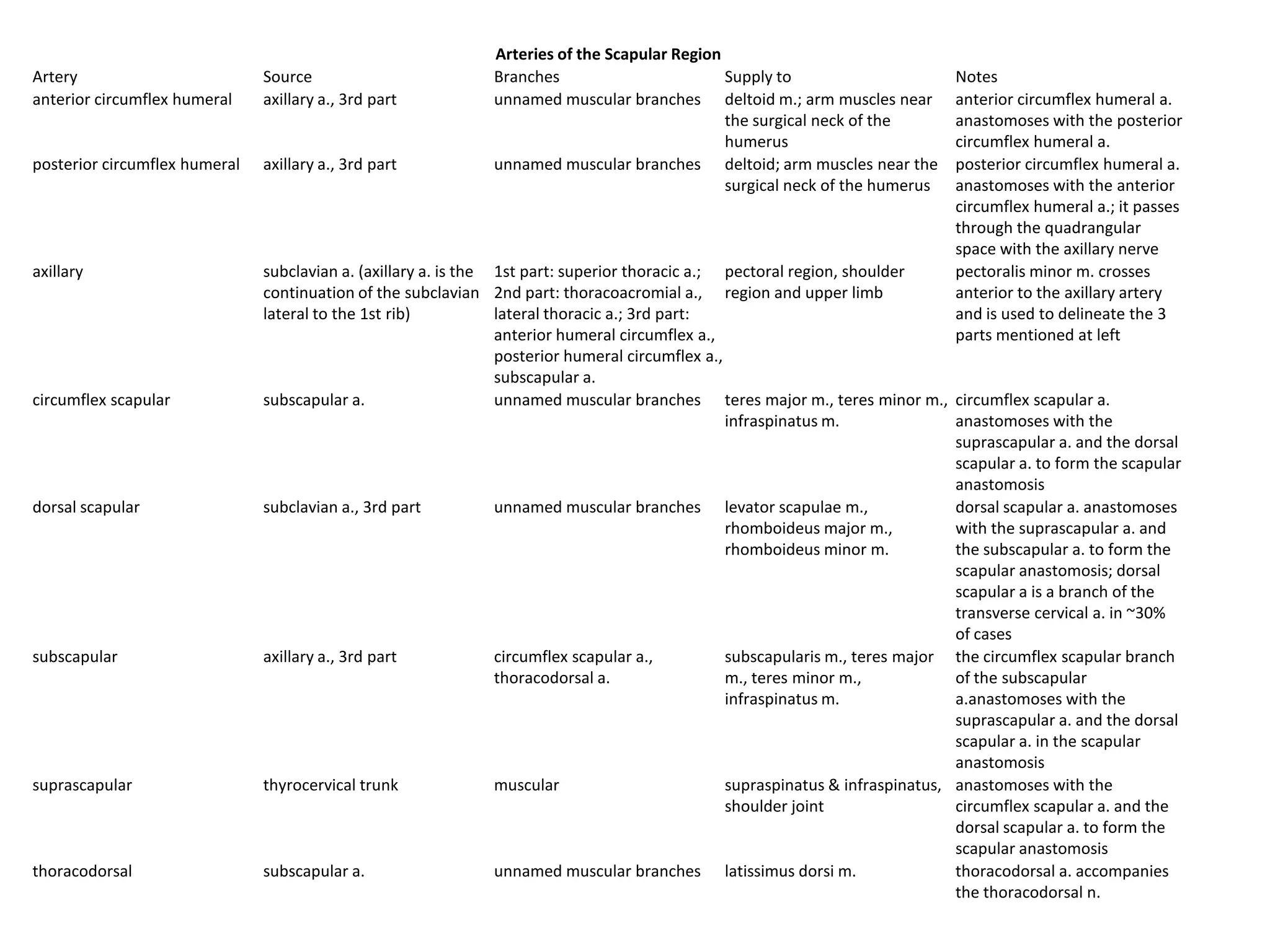 Arteries of the Scapular Region
Artery                         Source                          Branches                        Supply to                         Notes
anterior circumflex humeral    axillary a., 3rd part           unnamed muscular branches deltoid m.; arm muscles near            anterior circumflex humeral a.
                                                                                               the surgical neck of the          anastomoses with the posterior
                                                                                               humerus                           circumflex humeral a.
posterior circumflex humeral   axillary a., 3rd part           unnamed muscular branches deltoid; arm muscles near the           posterior circumflex humeral a.
                                                                                               surgical neck of the humerus      anastomoses with the anterior
                                                                                                                                 circumflex humeral a.; it passes
                                                                                                                                 through the quadrangular
                                                                                                                                 space with the axillary nerve
axillary                       subclavian a. (axillary a. is the 1st part: superior thoracic a.; pectoral region, shoulder       pectoralis minor m. crosses
                               continuation of the subclavian 2nd part: thoracoacromial a., region and upper limb                anterior to the axillary artery
                               lateral to the 1st rib)           lateral thoracic a.; 3rd part:                                  and is used to delineate the 3
                                                                 anterior humeral circumflex a.,                                 parts mentioned at left
                                                                 posterior humeral circumflex a.,
                                                                 subscapular a.
circumflex scapular            subscapular a.                    unnamed muscular branches teres major m., teres minor m., circumflex scapular a.
                                                                                                  infraspinatus m.               anastomoses with the
                                                                                                                                 suprascapular a. and the dorsal
                                                                                                                                 scapular a. to form the scapular
                                                                                                                                 anastomosis
dorsal scapular                subclavian a., 3rd part           unnamed muscular branches levator scapulae m.,                  dorsal scapular a. anastomoses
                                                                                                  rhomboideus major m.,          with the suprascapular a. and
                                                                                                  rhomboideus minor m.           the subscapular a. to form the
                                                                                                                                 scapular anastomosis; dorsal
                                                                                                                                 scapular a is a branch of the
                                                                                                                                 transverse cervical a. in ~30%
                                                                                                                                 of cases
subscapular                    axillary a., 3rd part             circumflex scapular a.,          subscapularis m., teres major the circumflex scapular branch
                                                                 thoracodorsal a.                 m., teres minor m.,            of the subscapular
                                                                                                  infraspinatus m.               a.anastomoses with the
                                                                                                                                 suprascapular a. and the dorsal
                                                                                                                                 scapular a. in the scapular
                                                                                                                                 anastomosis
suprascapular                  thyrocervical trunk               muscular                         supraspinatus & infraspinatus, anastomoses with the
                                                                                                  shoulder joint                 circumflex scapular a. and the
                                                                                                                                 dorsal scapular a. to form the
                                                                                                                                 scapular anastomosis
thoracodorsal                  subscapular a.                    unnamed muscular branches latissimus dorsi m.                   thoracodorsal a. accompanies
                                                                                                                                 the thoracodorsal n.
 