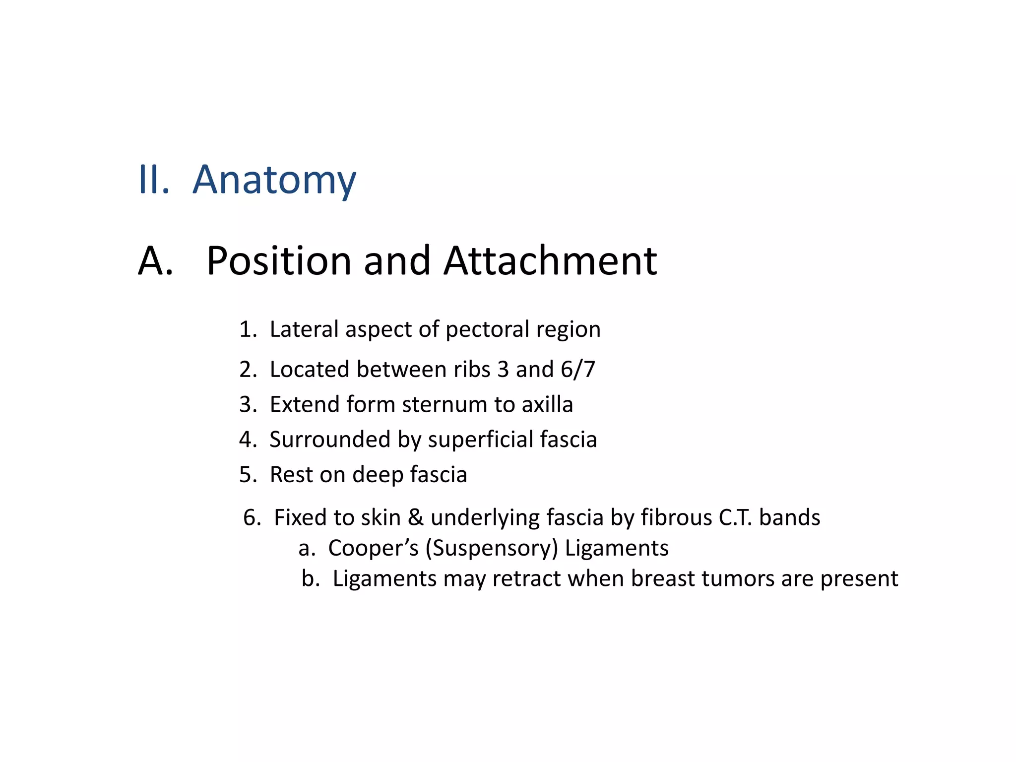 II. Anatomy
A. Position and Attachment
     1. Lateral aspect of pectoral region
     2.   Located between ribs 3 and 6/7
     3.   Extend form sternum to axilla
     4.   Surrounded by superficial fascia
     5.   Rest on deep fascia
     6. Fixed to skin & underlying fascia by fibrous C.T. bands
           a. Cooper’s (Suspensory) Ligaments
           b. Ligaments may retract when breast tumors are present
 