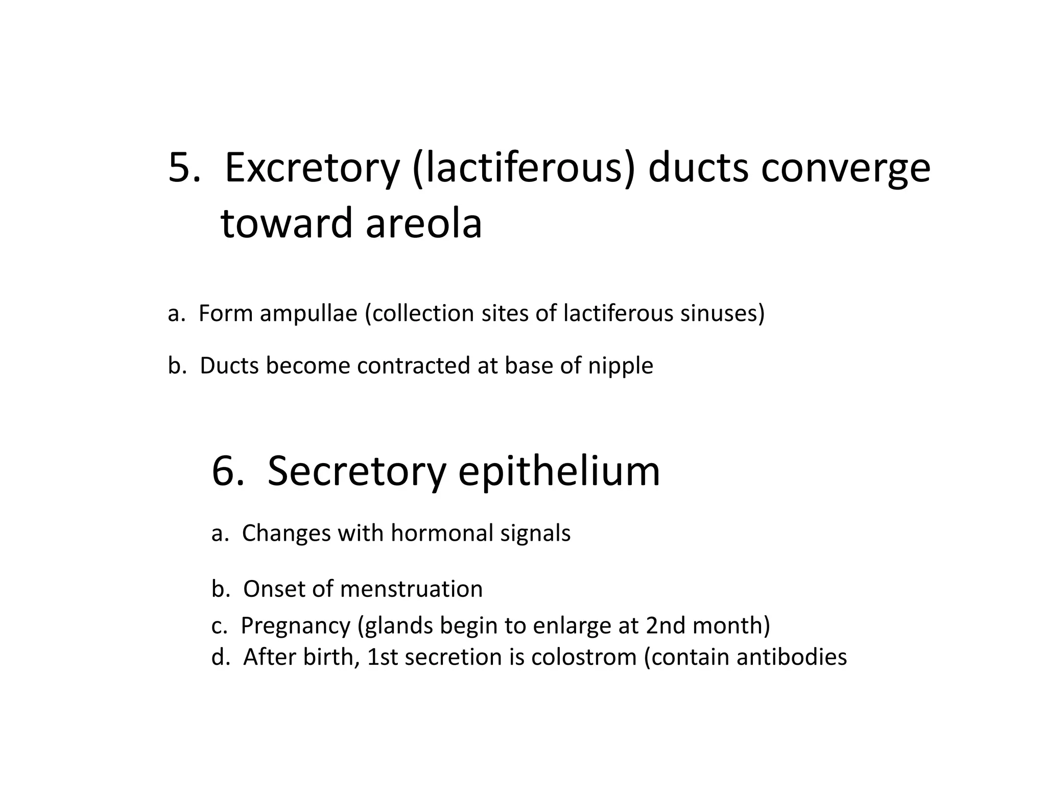 5. Excretory (lactiferous) ducts converge
   toward areola
a. Form ampullae (collection sites of lactiferous sinuses)

b. Ducts become contracted at base of nipple



    6. Secretory epithelium
    a. Changes with hormonal signals

    b. Onset of menstruation
    c. Pregnancy (glands begin to enlarge at 2nd month)
    d. After birth, 1st secretion is colostrom (contain antibodies
 