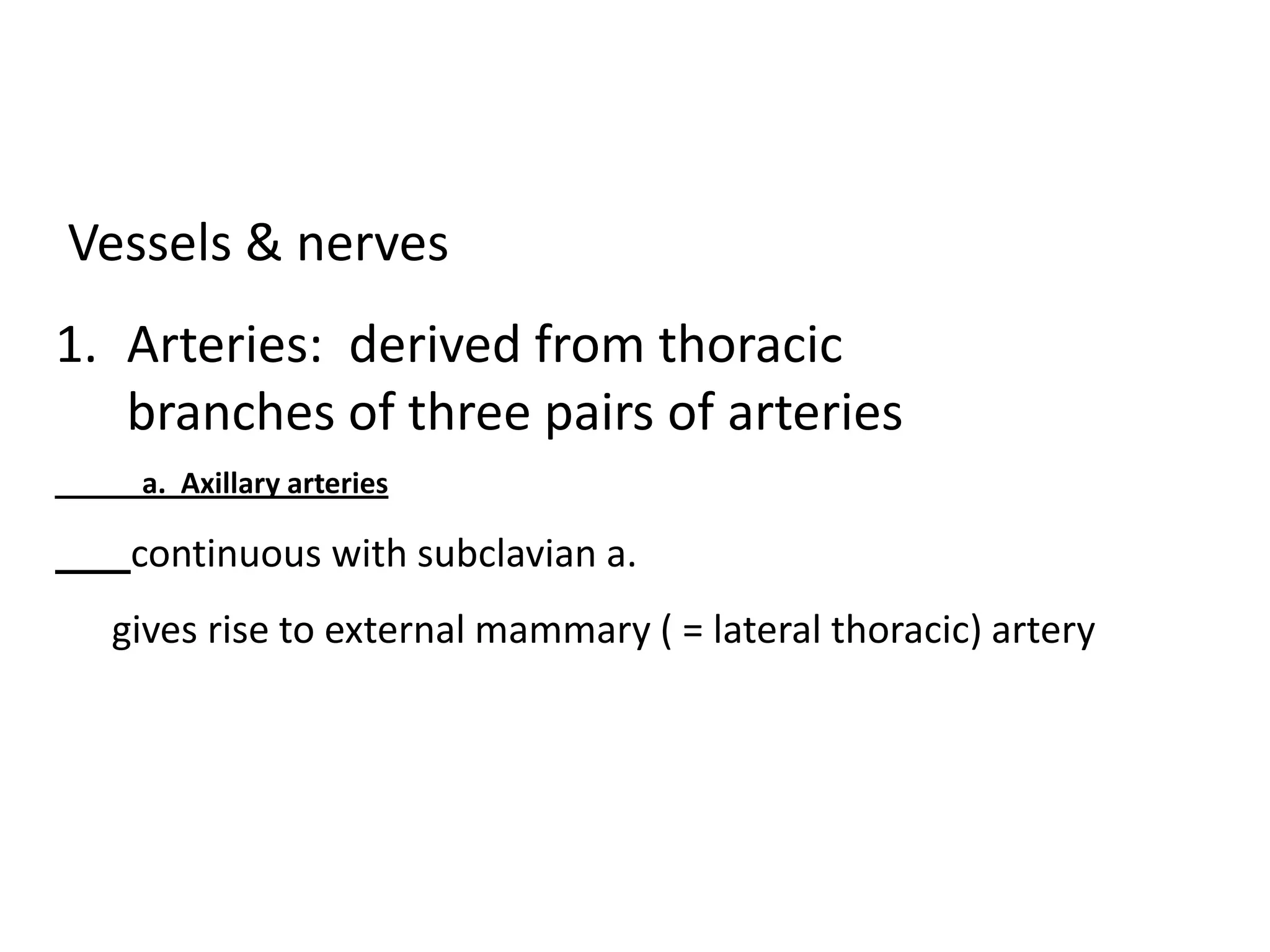 Vessels & nerves
1. Arteries: derived from thoracic
   branches of three pairs of arteries
   a. Axillary arteries

   continuous with subclavian a.
  gives rise to external mammary ( = lateral thoracic) artery
 