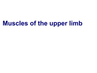 Upper Limb