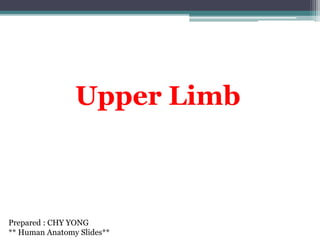 Upper Limb
Prepared : CHY YONG
** Human Anatomy Slides**
 