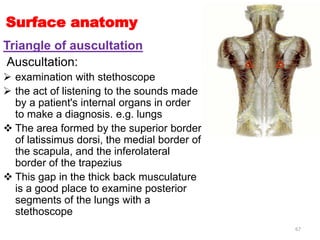 upper limb 1.pdf