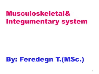 Musculoskeletal&
Integumentary system
By: Feredegn T.(MSc.)
1
 