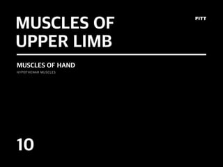 Upper limb (10) (11) p