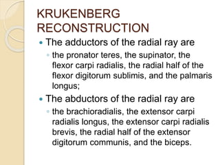 KRUKENBERG
RECONSTRUCTION
 The adductors of the radial ray are
◦ the pronator teres, the supinator, the
flexor carpi radialis, the radial half of the
flexor digitorum sublimis, and the palmaris
longus;
 The abductors of the radial ray are
◦ the brachioradialis, the extensor carpi
radialis longus, the extensor carpi radialis
brevis, the radial half of the extensor
digitorum communis, and the biceps.
 