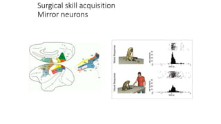 Surgical skill acquisition
Mirror neurons
 
