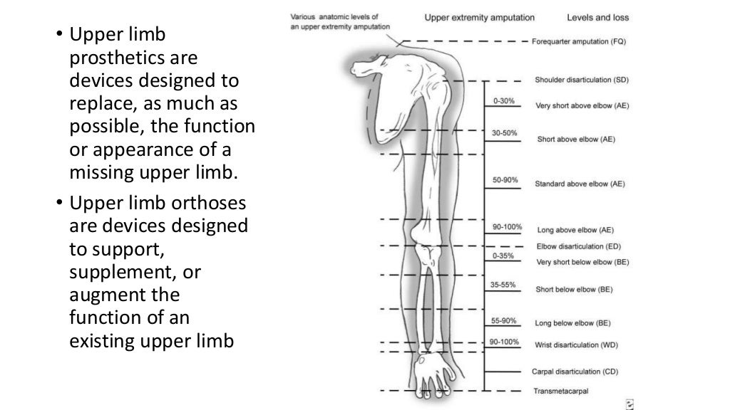 Upper limb amputation rehabilitation
