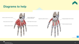 115
Diagrams to help
 