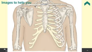 124
Images to help you
 