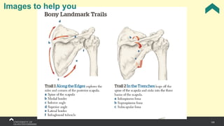 125
Images to help you
 