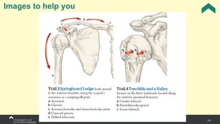 126
Images to help you
 