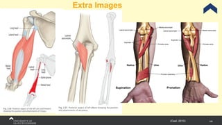 148
Extra Images
(Cael, 2010)
 