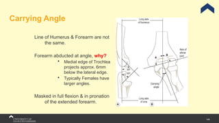 149
Carrying Angle
Line of Humerus & Forearm are not
the same.
Forearm abducted at angle, why?
 Medial edge of Trochlea
projects approx. 6mm
below the lateral edge.
 Typically Females have
larger angles.
Masked in full flexion & in pronation
of the extended forearm.
 