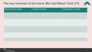 157
The key muscles of the hand. Mix and Match Task (11)
Metacarpal muscles Thenar muscles Hypothenar muscles
 