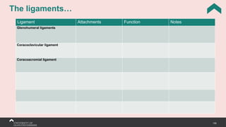159
The ligaments…
Ligament Attachments Function Notes
Glenohumeral ligaments
Coracoclavicular ligament
Coracoacromial ligament
 