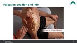 48
Palpation position and info
 