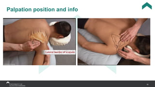 50
Palpation position and info
 