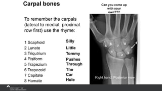 Carpal bones
To remember the carpals
(lateral to medial, proximal
row first) use the rhyme:
1 Scaphoid
2 Lunate
3 Triqutrium
4 Pisiform
5 Trapezium
6 Trapezoid
7 Capitate
8 Hamate
1
2
3
4
5
6
7
8
Right hand: Posterior view
Silly
Little
Tommy
Pushes
Through
The
Car
Hole
Can you come up
with your
own???
 