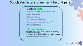Comprehensive Overview of Upper Limb Vascular and Lymphatic Anatomy | PDF