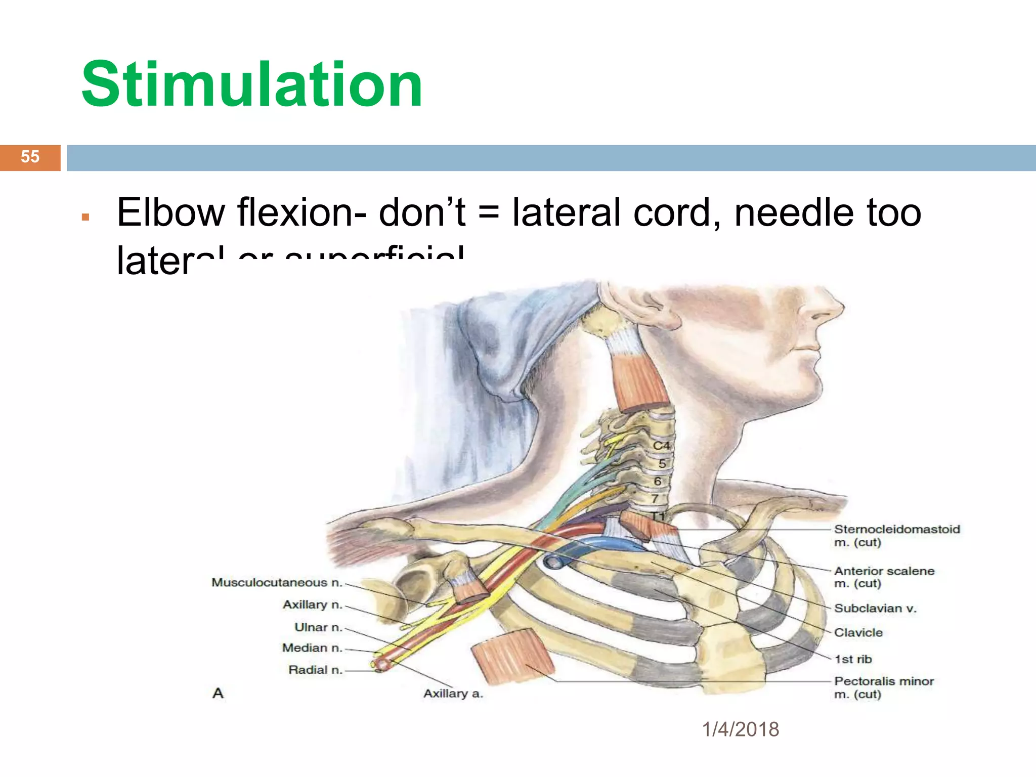 Stimulation
 Elbow flexion- don’t = lateral cord, needle too
lateral or superficial
1/4/2018
55
 