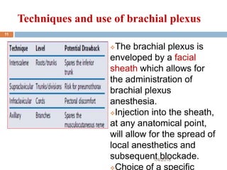Techniques and use of brachial plexus
The brachial plexus is
enveloped by a facial
sheath which allows for
the administration of
brachial plexus
anesthesia.
Injection into the sheath,
at any anatomical point,
will allow for the spread of
local anesthetics and
subsequent blockade.
Choice of a specific
1/4/2018
11
 