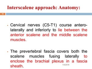 Interscalene approach: Anatomy:
 Cervical nerves (C5-T1) course antero-
laterally and inferiorly to lie between the
anterior scalene and the middle scalene
muscles.
 The prevertebral fascia covers both the
scalene muscles fusing laterally to
enclose the brachial plexus in a fascia
sheath. 1/4/2018
16
 
