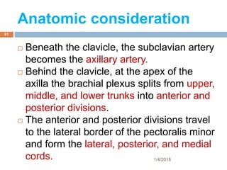 Anatomic consideration
 Beneath the clavicle, the subclavian artery
becomes the axillary artery.
 Behind the clavicle, at the apex of the
axilla the brachial plexus splits from upper,
middle, and lower trunks into anterior and
posterior divisions.
 The anterior and posterior divisions travel
to the lateral border of the pectoralis minor
and form the lateral, posterior, and medial
cords. 1/4/2018
61
 