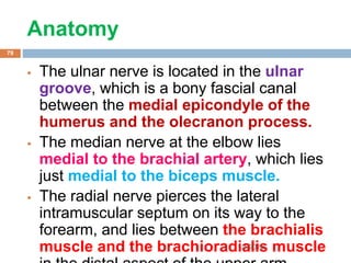 Anatomy
 The ulnar nerve is located in the ulnar
groove, which is a bony fascial canal
between the medial epicondyle of the
humerus and the olecranon process.
 The median nerve at the elbow lies
medial to the brachial artery, which lies
just medial to the biceps muscle.
 The radial nerve pierces the lateral
intramuscular septum on its way to the
forearm, and lies between the brachialis
muscle and the brachioradialis muscle1/4/2018
79
 