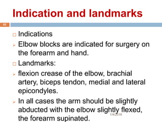 Indication and landmarks
1/4/2018
82
 Indications
 Elbow blocks are indicated for surgery on
the forearm and hand.
 Landmarks:
 flexion crease of the elbow, brachial
artery, biceps tendon, medial and lateral
epicondyles.
 In all cases the arm should be slightly
abducted with the elbow slightly flexed,
the forearm supinated.
 