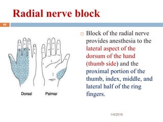 Radial nerve block
 Block of the radial nerve
provides anesthesia to the
lateral aspect of the
dorsum of the hand
(thumb side) and the
proximal portion of the
thumb, index, middle, and
lateral half of the ring
fingers.
1/4/2018
86
 