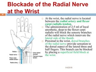 Blockade of the Radial Nerve
at the Wrist
 At the wrist, the radial nerve is located
between the radial artery and flexor
carpi radialis tendon.
 The administration of 2-5 ml of local
anesthetic, deep to the flexor carpi
radialis will block the sensory branches
of the radial nerve which innervate the
lateral side of the thumb.
 Proximal to the wrist, dorsal branches
of the radial nerve provide sensation to
the dorsal aspect of the lateral three and
half fingers. This branch can be blocked
by placing a superficial field block at
the wrist.
1/4/2018
97
 