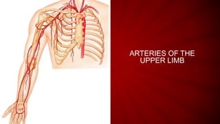 Upper limb Blood Supply  arteries.pptx