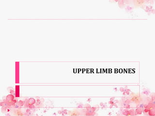 UPPER LIMB BONES
 