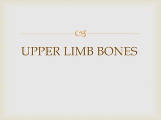 
UPPER LIMB BONES
 