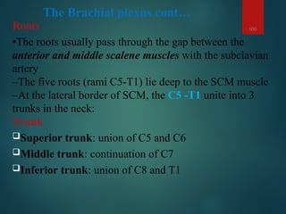upper limb bones,muscles and joints.2.ppt