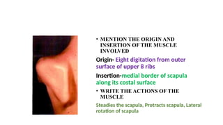 UPPER LIMB CLINICAL CHARTS MBBS FIRST YEAR | PPTX